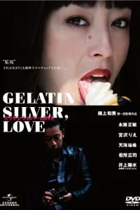 Постер фильма Серебряно-желатиновая любовь